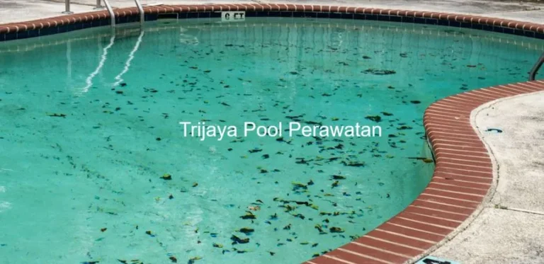 5 Tips Ampuh Menghilangkan Noda Kolam Renang Menghilangkan Noda Kolam Renang