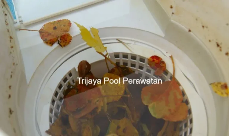 Cara Membersihkan Skimmer Box