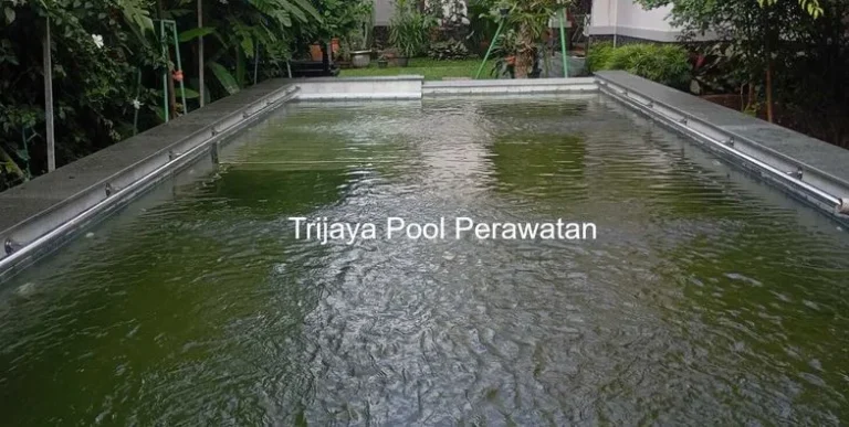 5 Cara Mengatasi Bau Tidak Sedap Pada Kolam Renang Mengatasi Bau Tidak Sedap Pada Kolam Renang