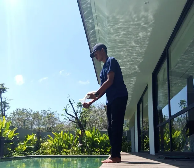 mengatasi bangkai di kolam renang