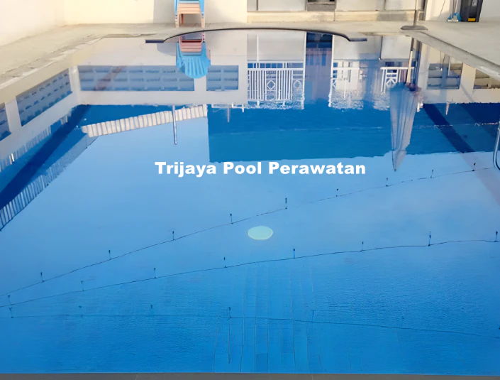 Cara Mengatasi Bangkai Hewan di Kolam Renang, Jangan Panik! mengatasi bangkai hewan di kolam renang