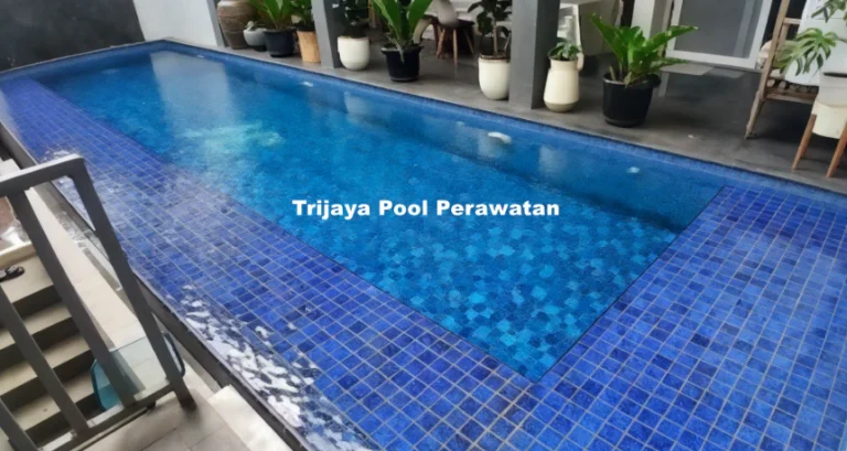 Penjernih Kolam Renang