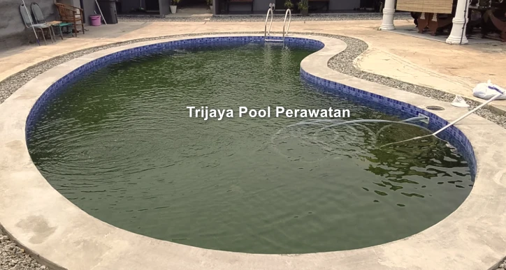 Cara Tepat Mengatasi Alga Kuning Kolam Renang yang Kebal Kaporit Biasa Alga Kuning Kolam Renang